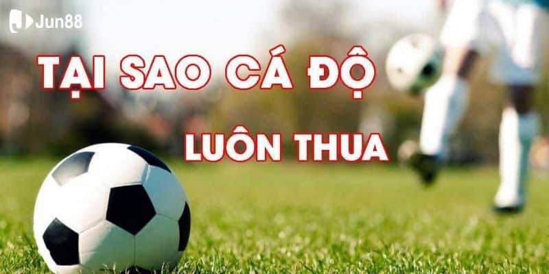 Tại sao cá độ bóng đá luôn thua? Cùng Jun88 giải mã