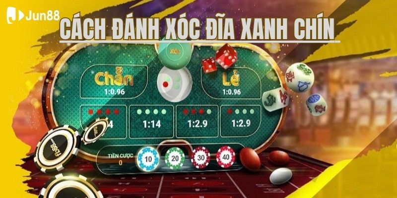 Cách đánh xóc đĩa xanh chín - Bí quyết thành công tại Jun88