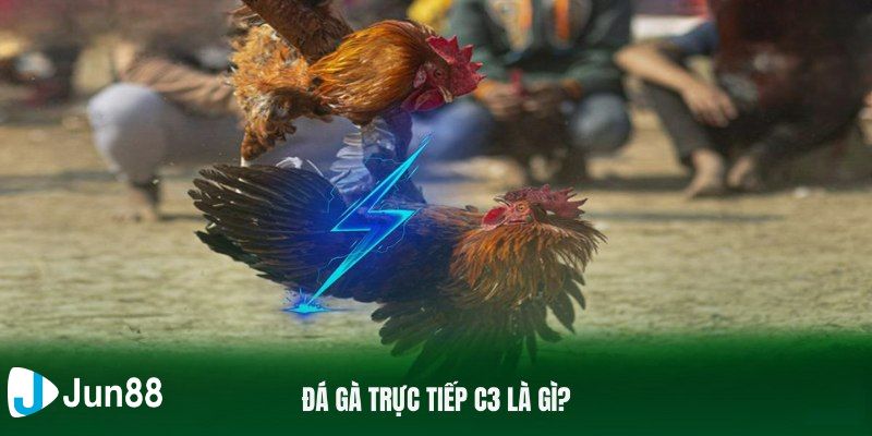 Tìm hiểu tổng quan về đá gà c3 hôm nay kịch tính
