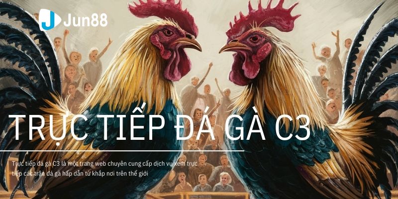 đá gà C3 hôm nay