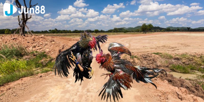 Nạp tiền và đặt cược thông qua những bước nào?