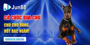 Cá cược đua chó