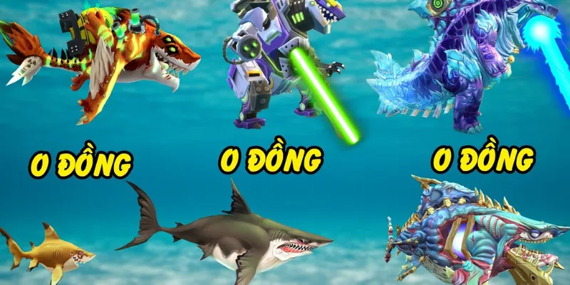 Những kinh nghiệm giúp tăng cơ hội thắng